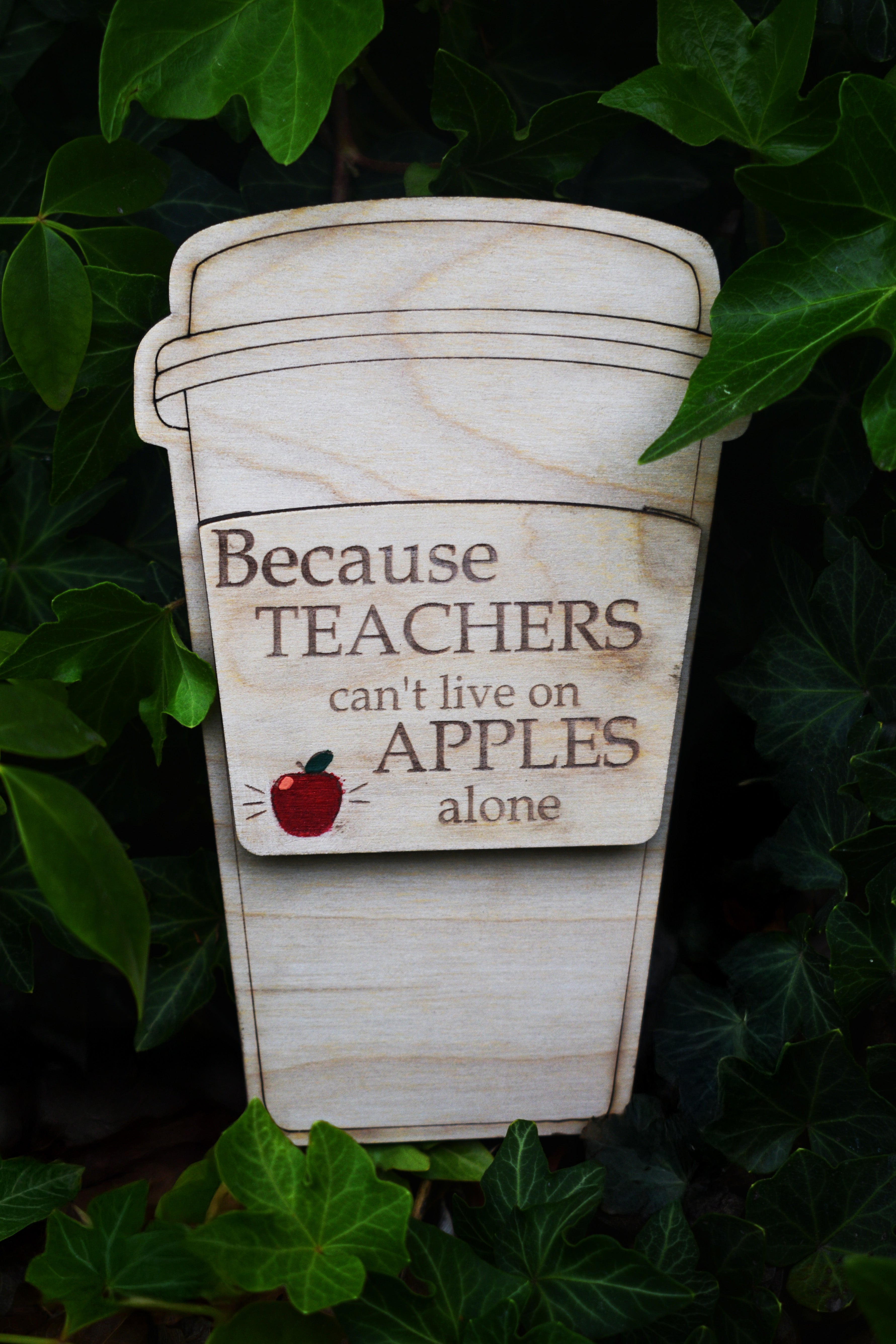 starbucks gift card sleeve Teacher Starbucks Gift Card Holder – DMS Solutions @ SSHS