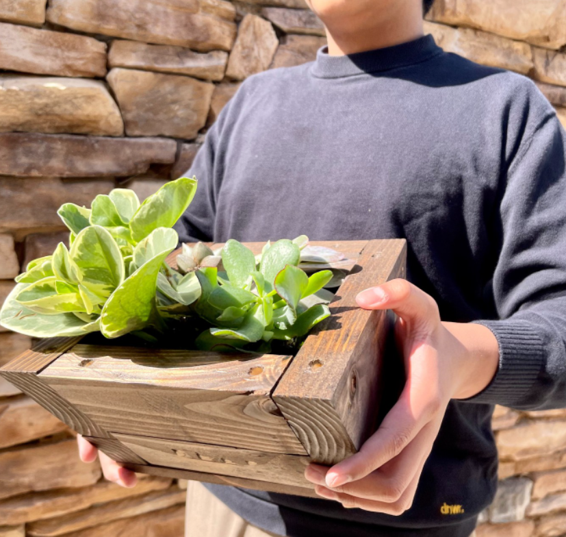 Wooden Plant Pot