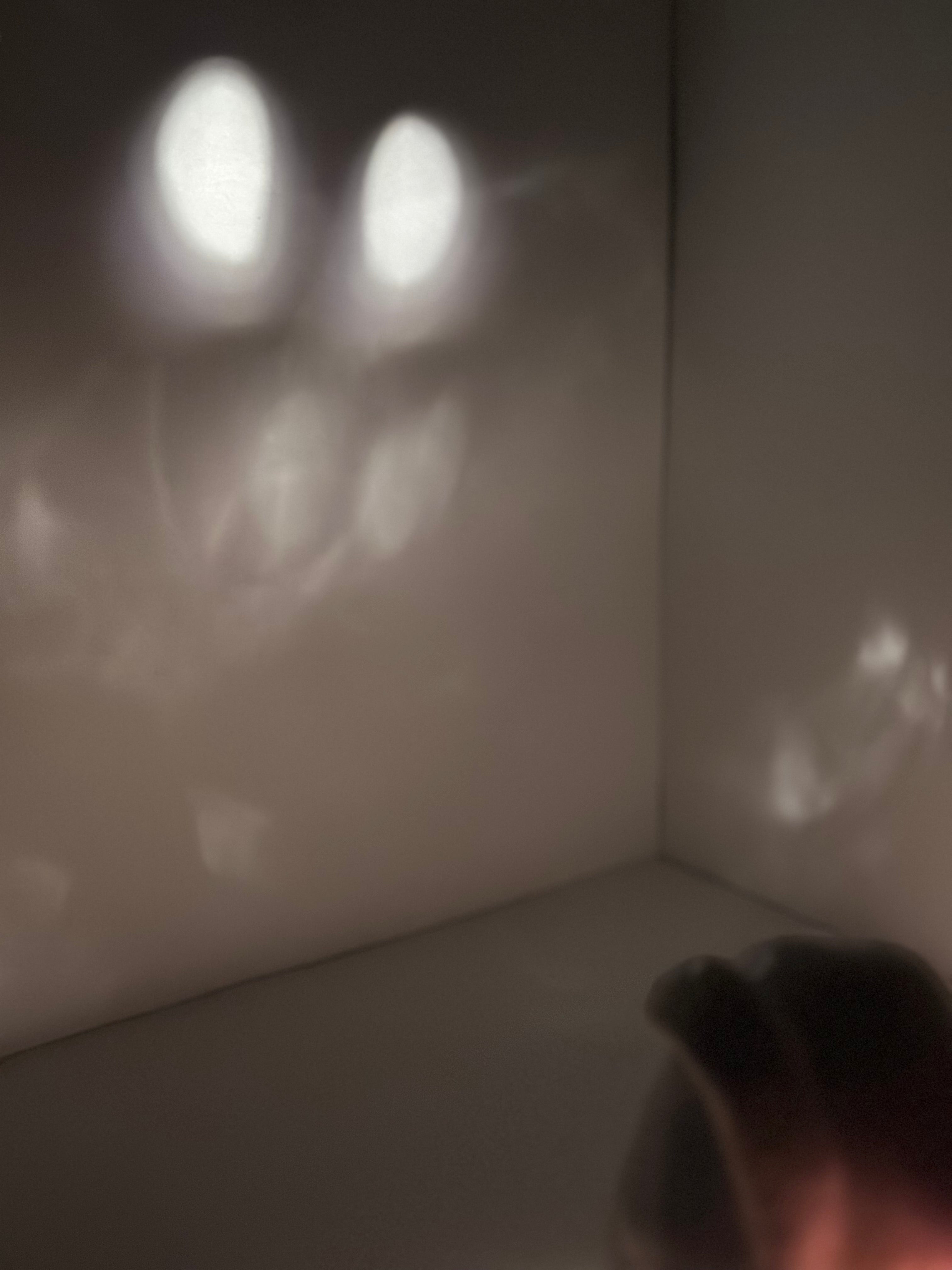 Decorative Ghost