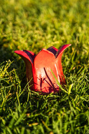 Lotus Pot