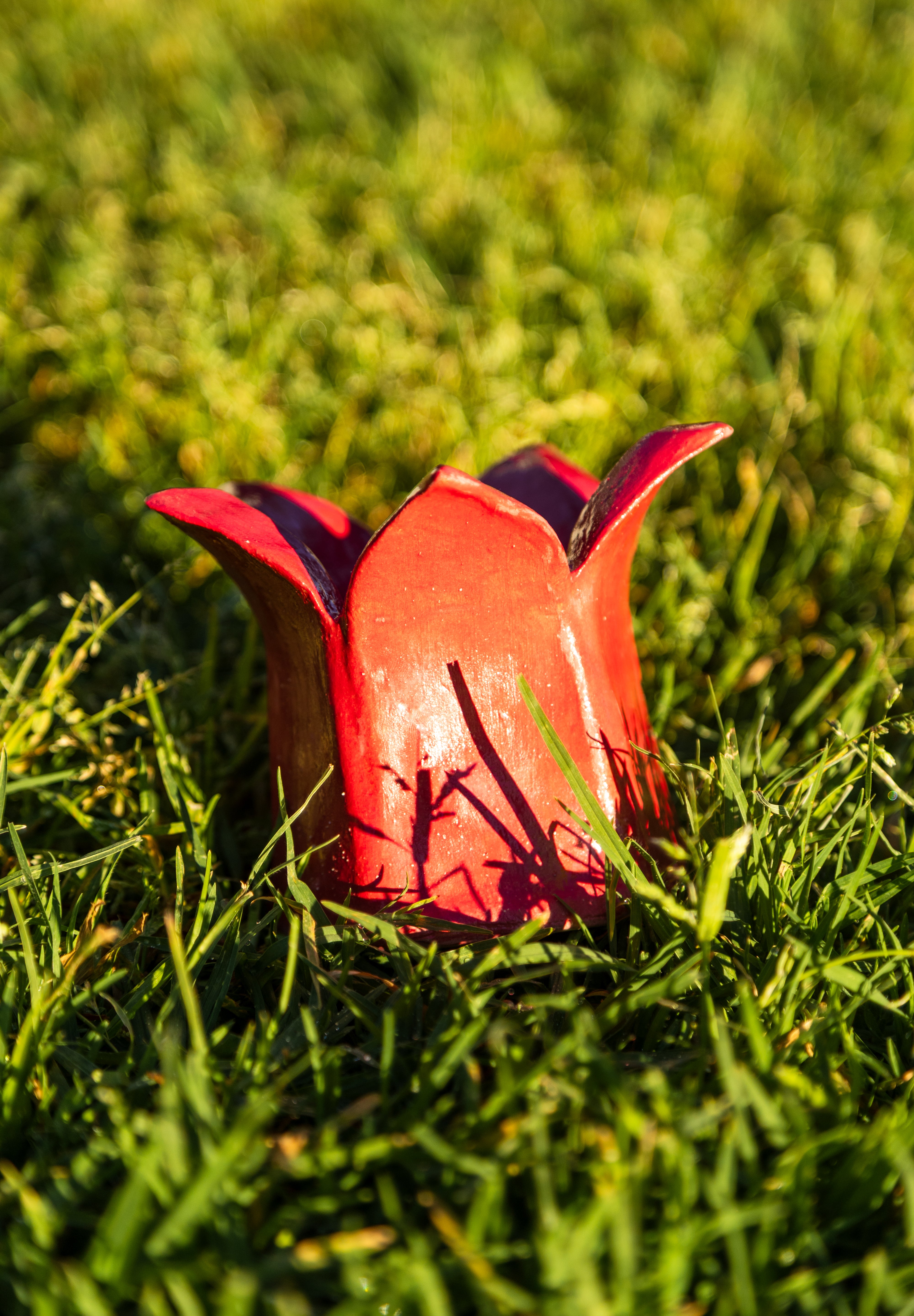 Lotus Pot