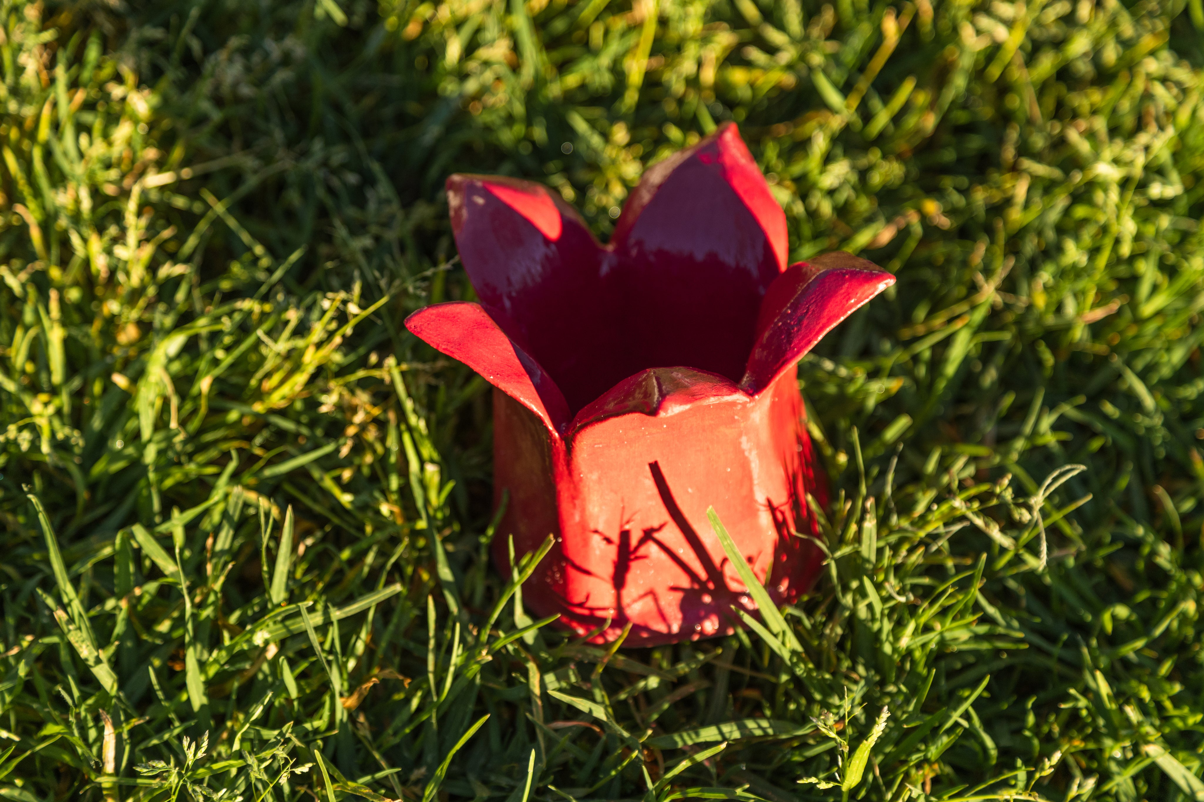 Lotus Pot