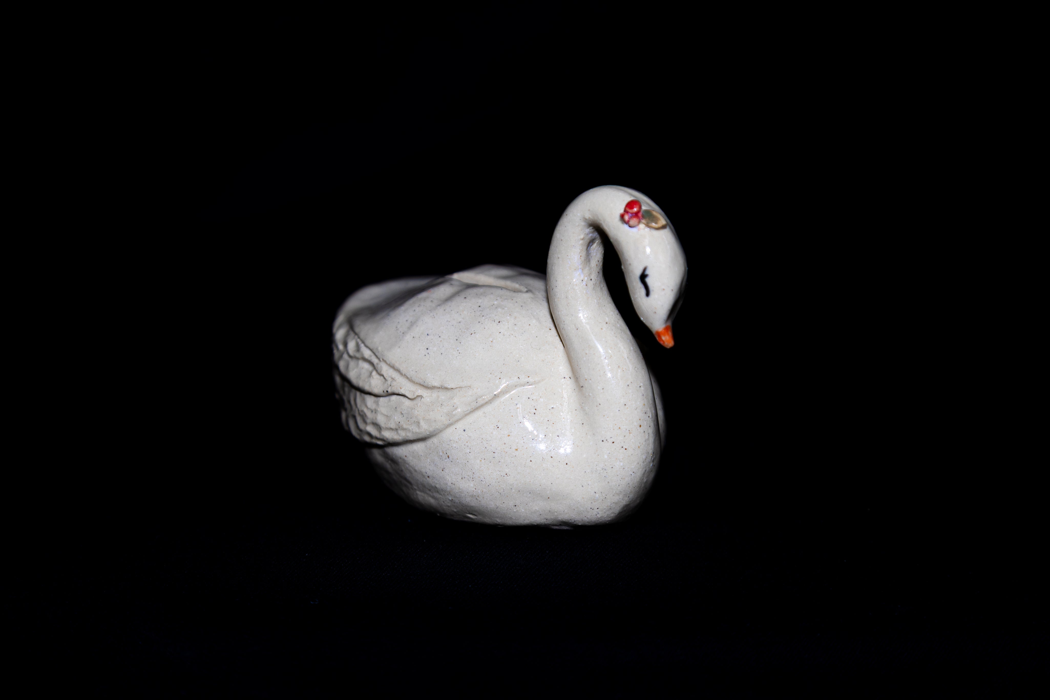 Swan Coin Bank