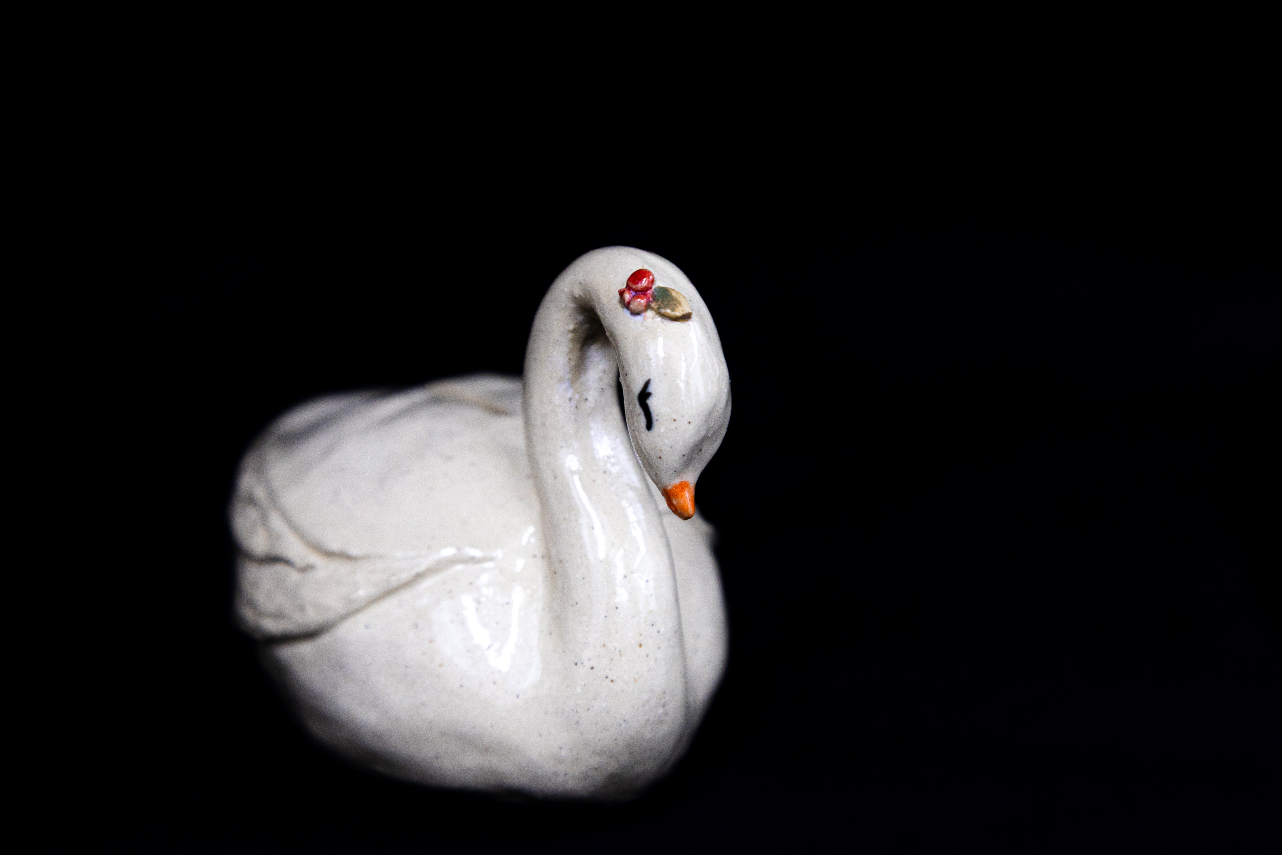 Swan Coin Bank