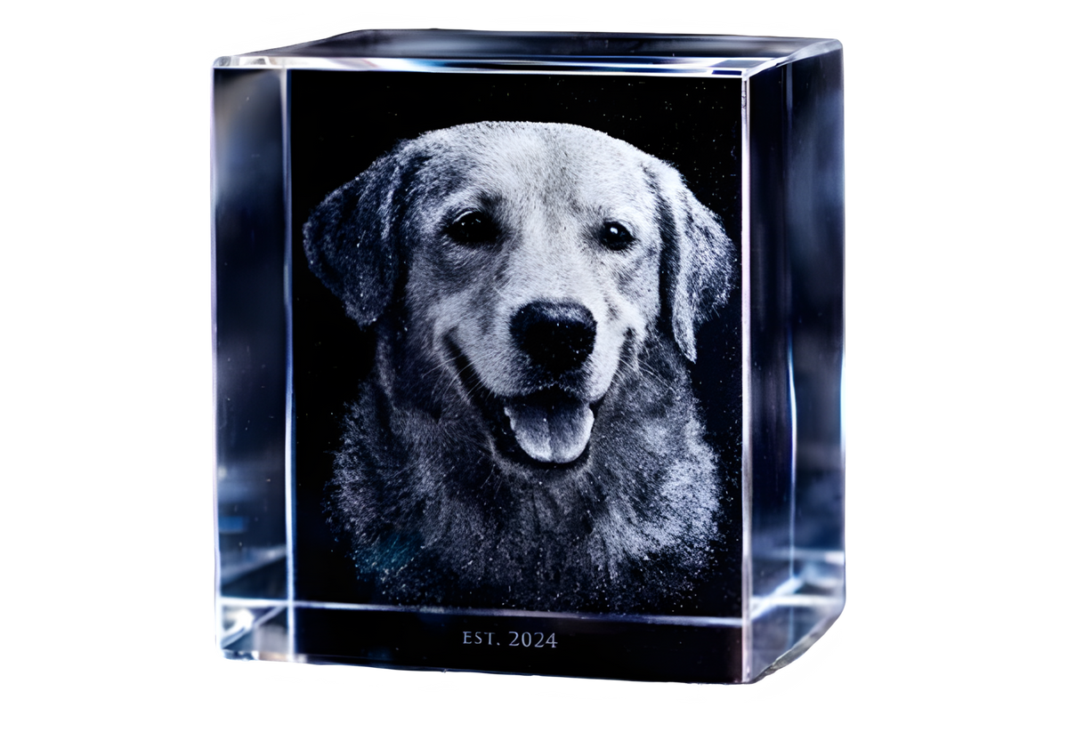 3D Laser Engraved Crystal Display