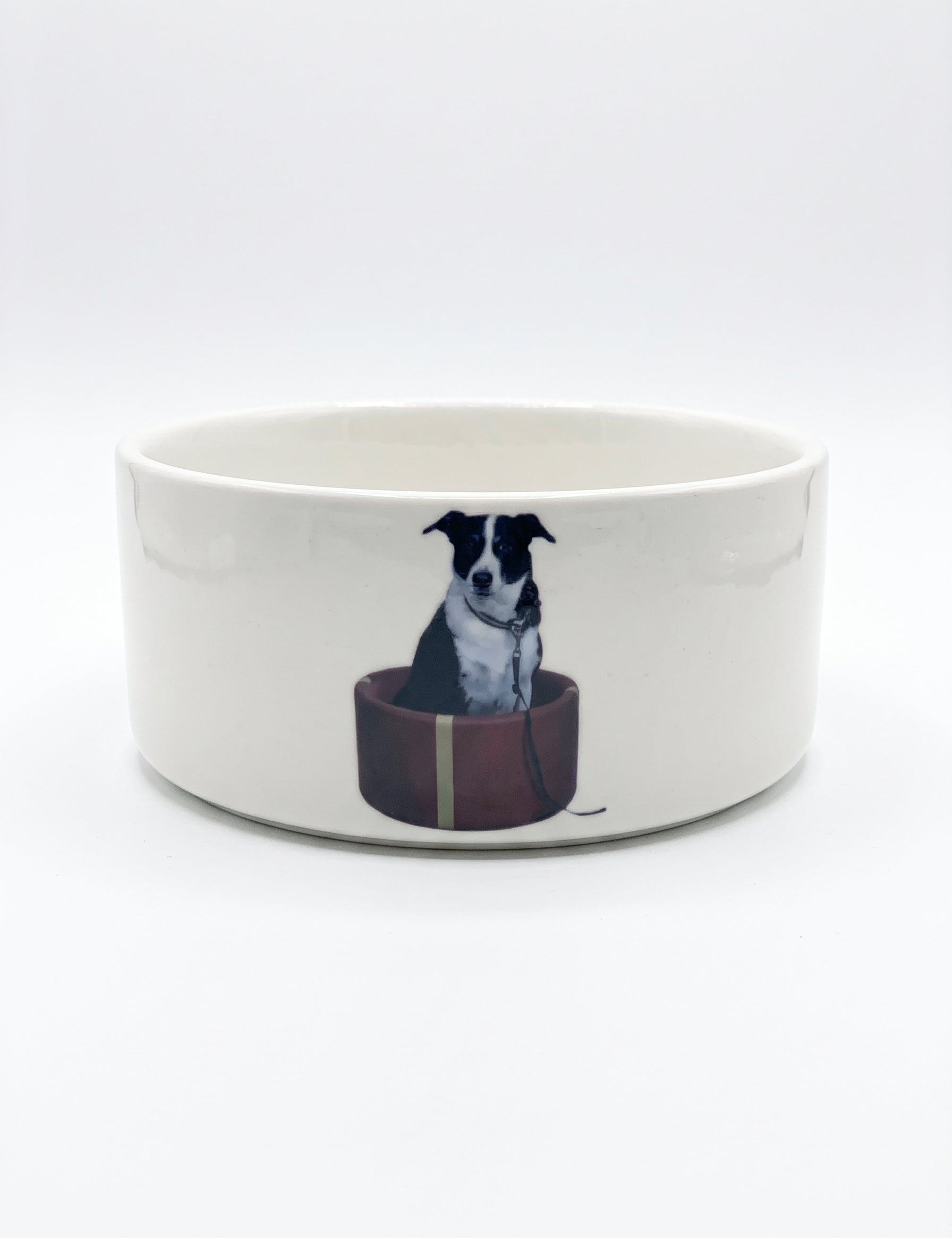 DogBowl2.jpg