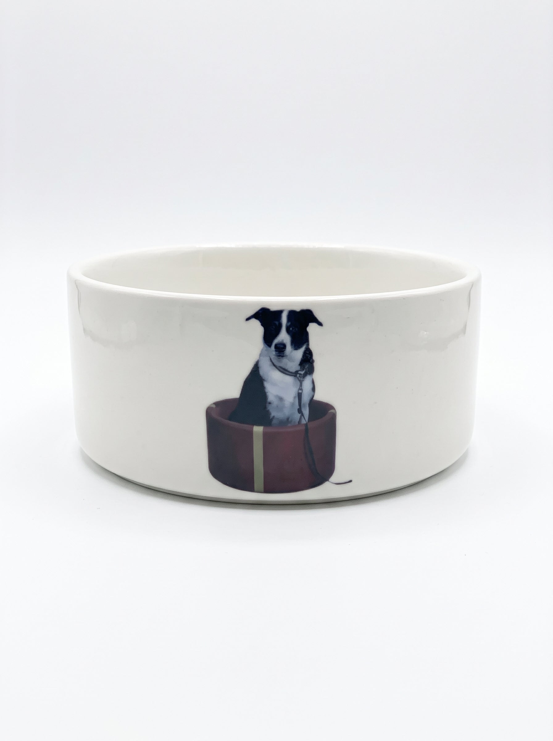 Custom Dog Bowl