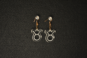 Zodiac Earrings