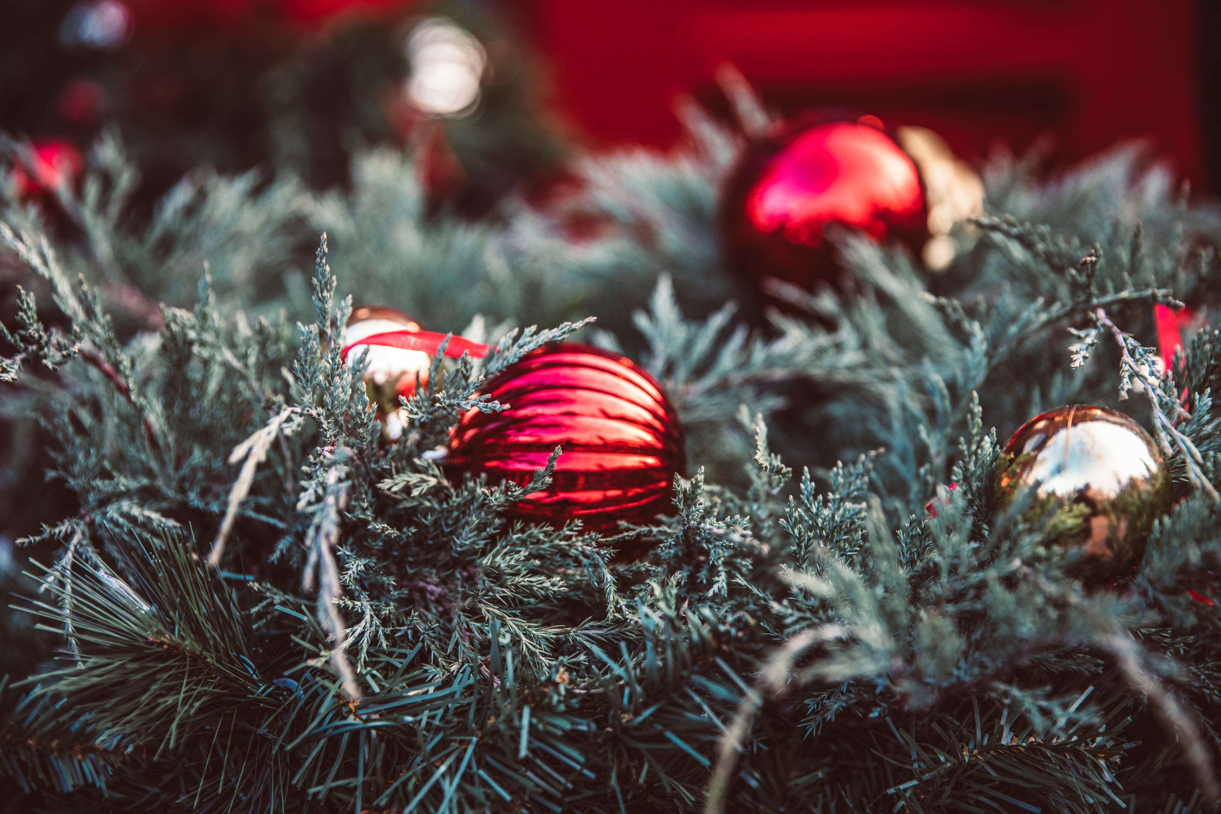 christmas-decorations-on-greenery.jpg