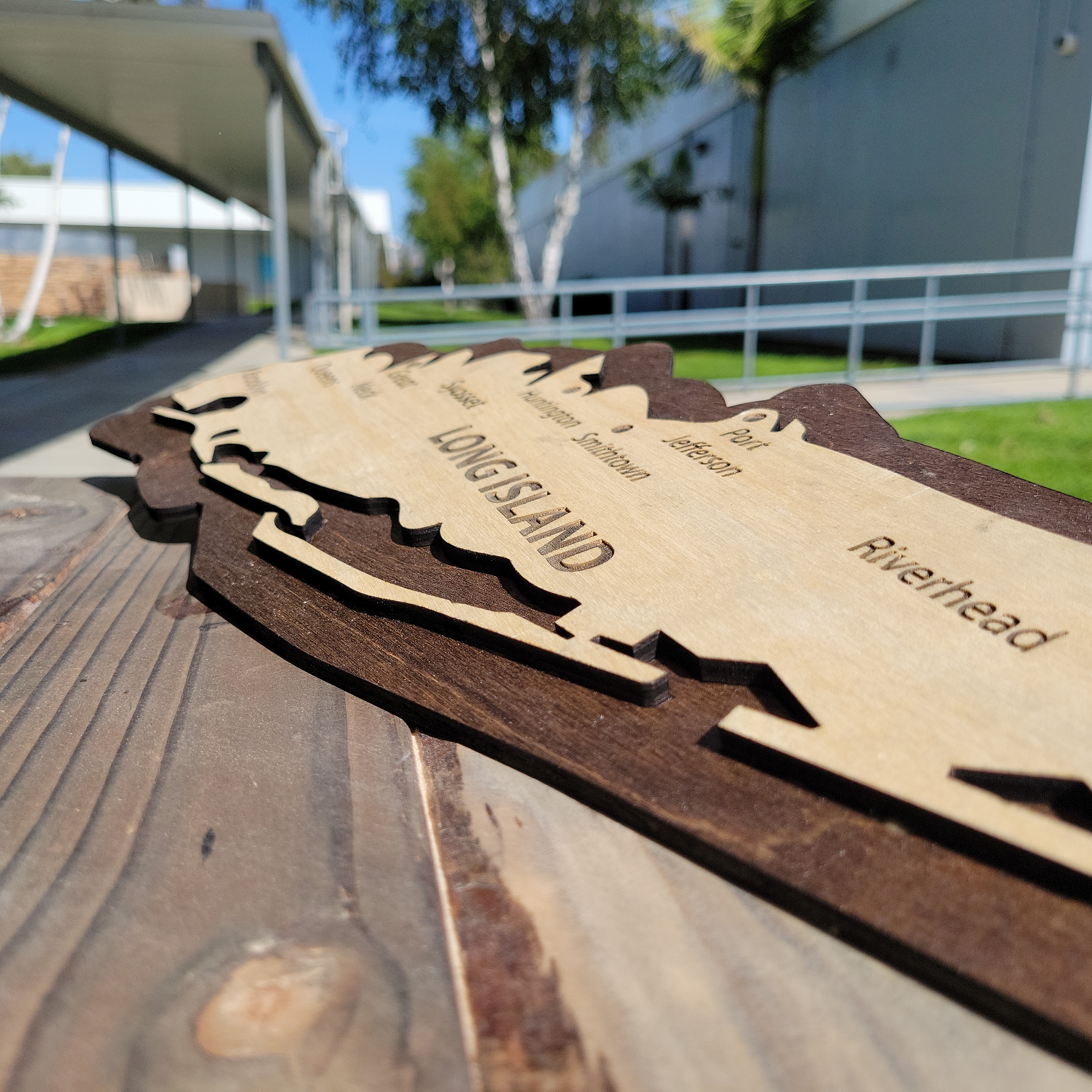 Long Island Laser Cut Map