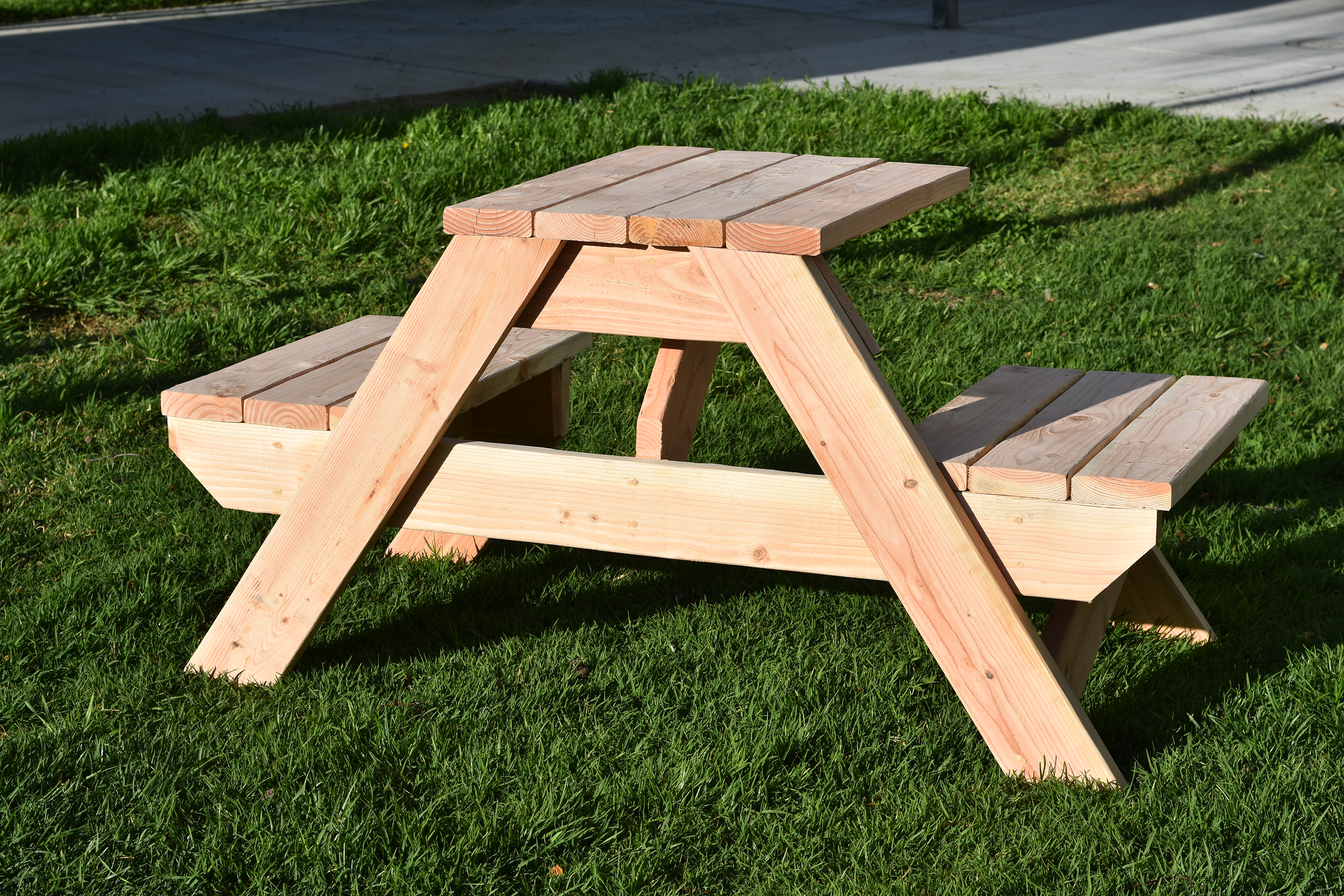 Picnic Bench